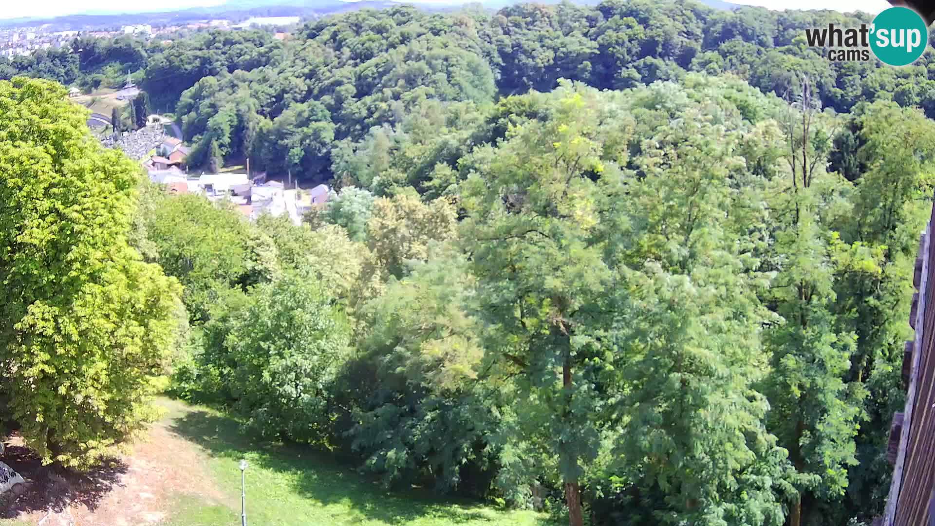 Webcam Castello Dubovac Karlovac – Vista Live sul Castello Storico