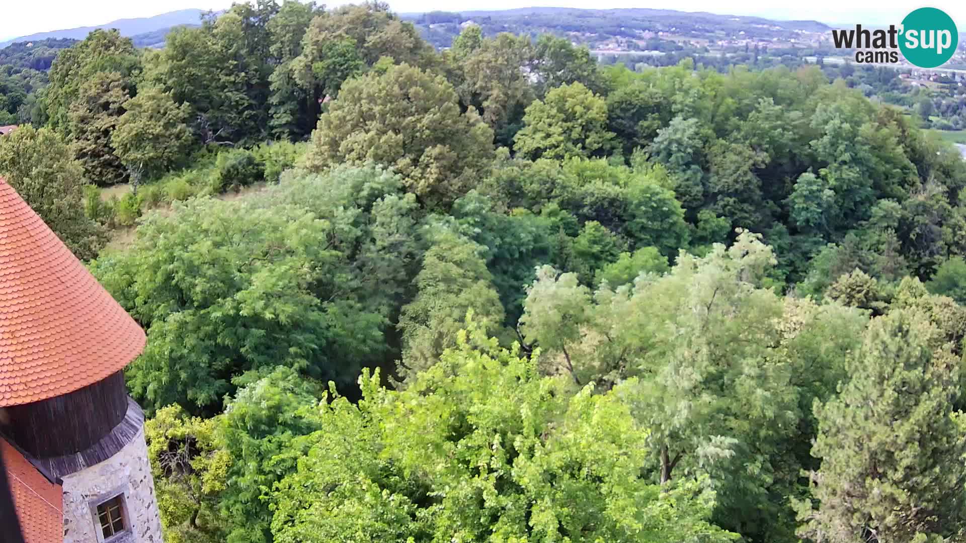 Webcam Karlovac Dubovac Castle – Live View of Karlovac’s Historic Landmark