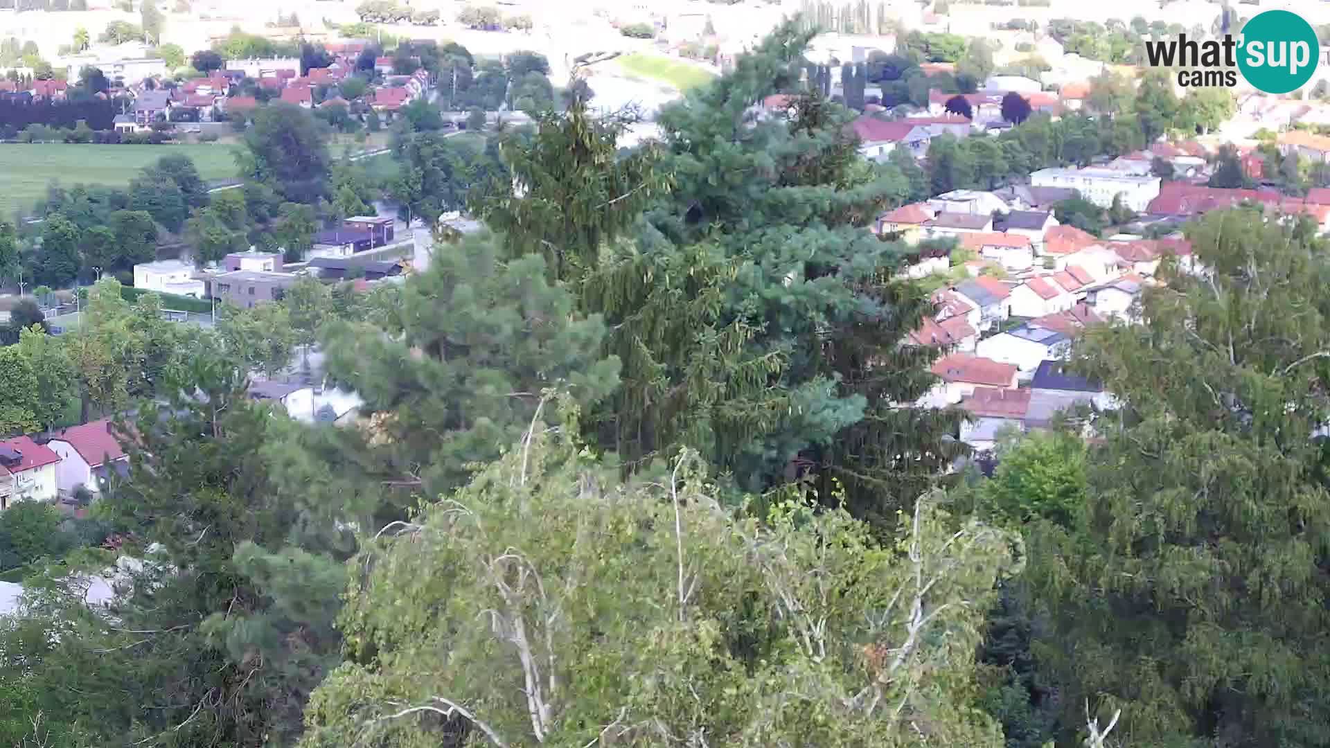 Webcam Castillo Dubovac Karlovac – Vista en directo del histórico castillo