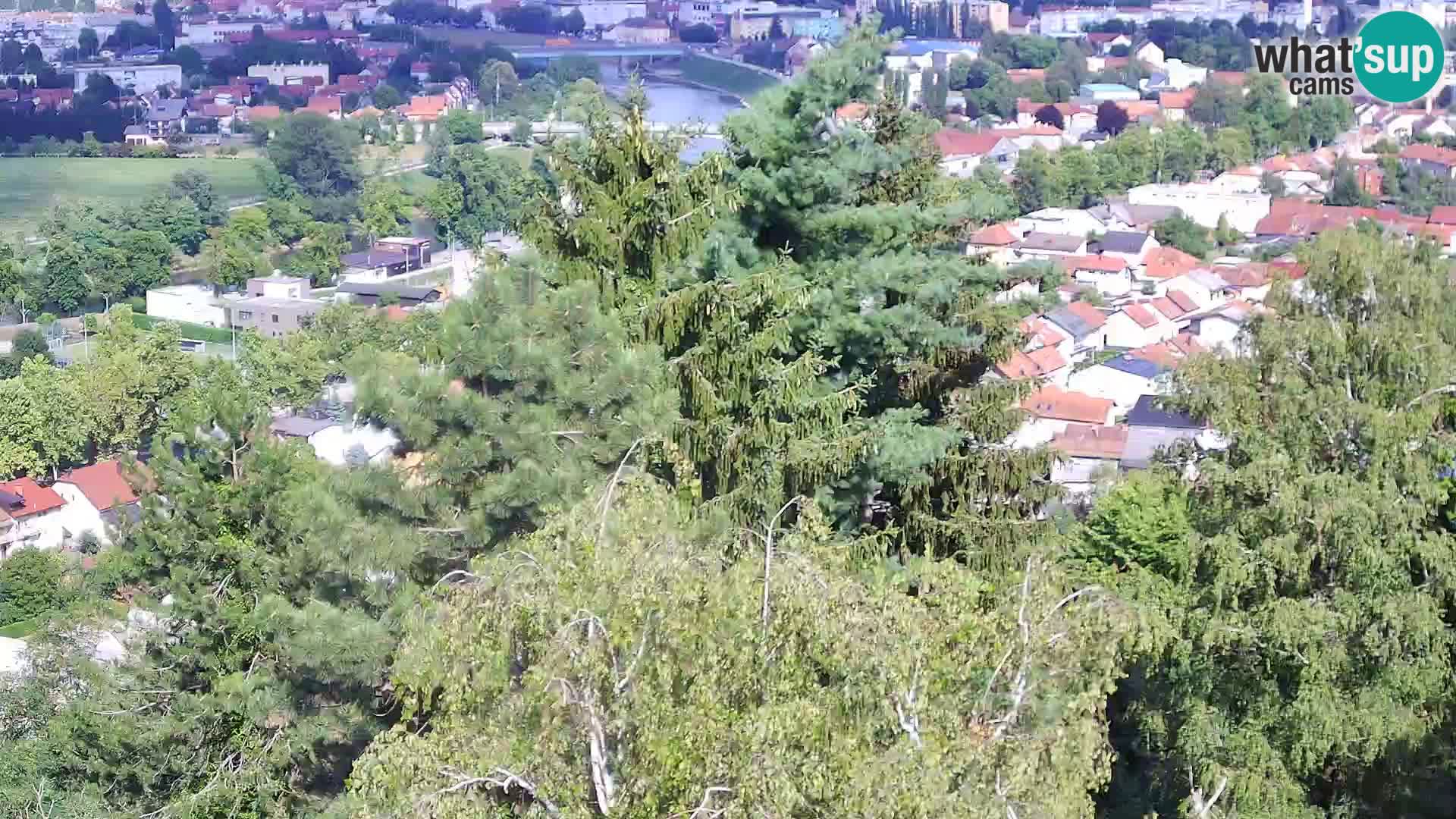 Webcam Castello Dubovac Karlovac – Vista Live sul Castello Storico