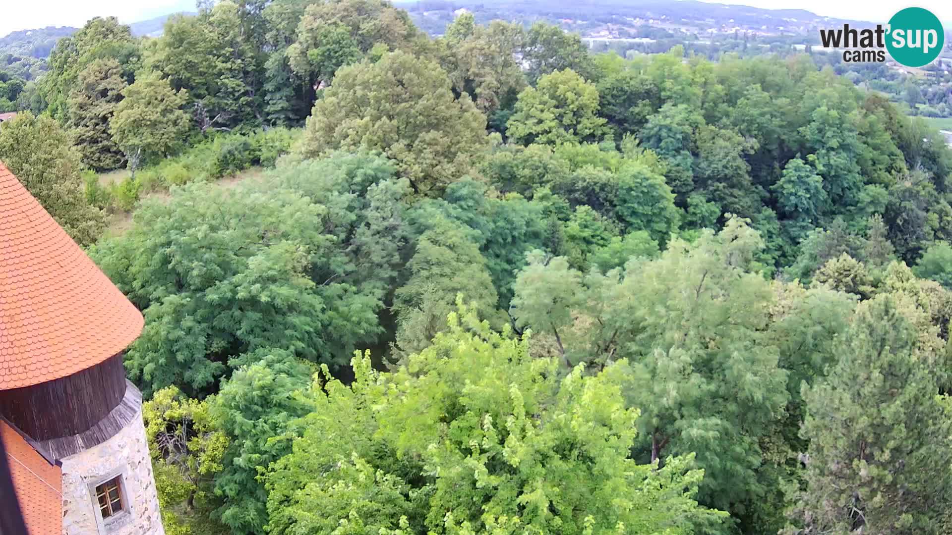 Webcam Karlovac Dubovac Castle – Live View of Karlovac’s Historic Landmark