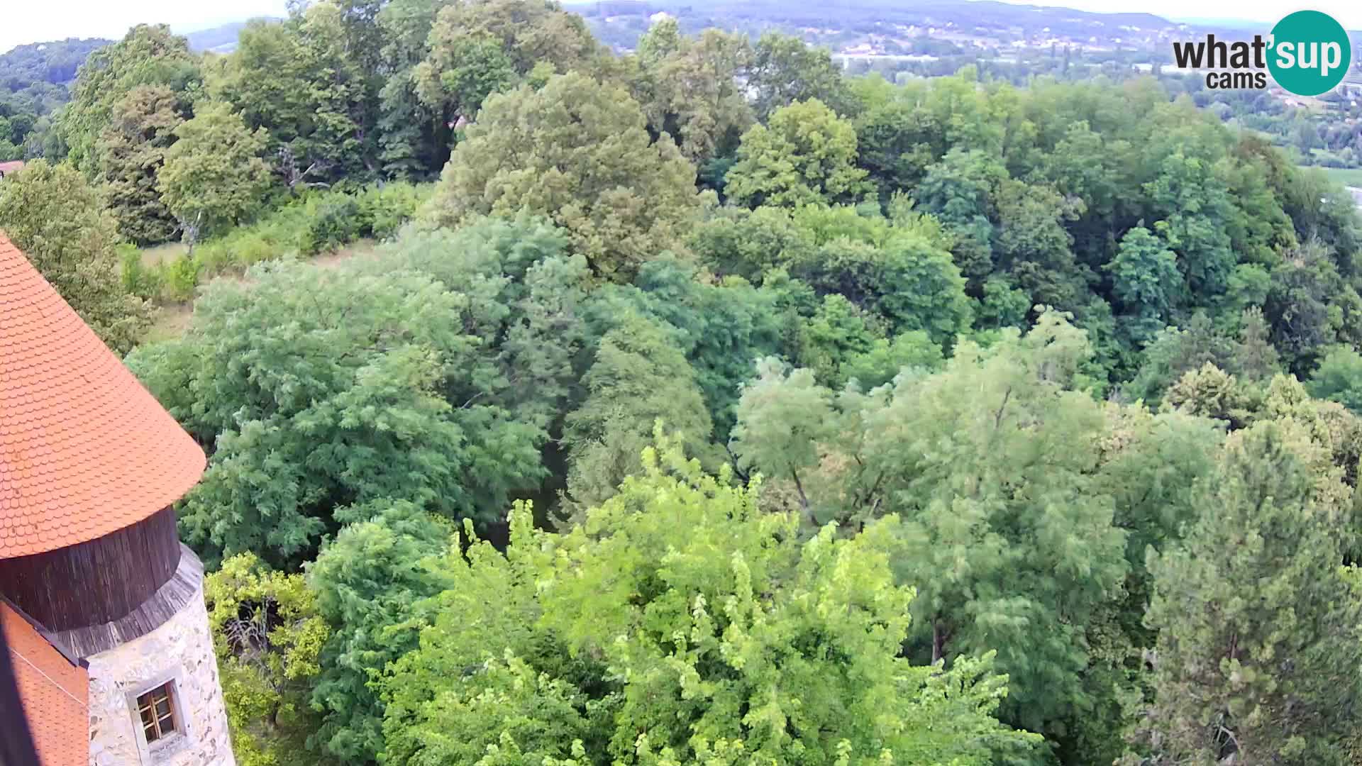 Spletna kamera Karlovac Dubovac grad – Pogled v živo na zgodovinsko znamenitost Karlovca