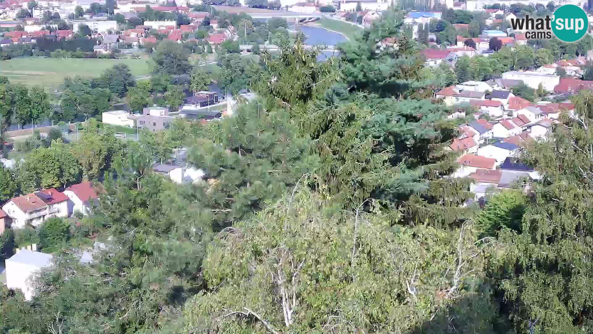 Webcam Karlovac Château Dubovac – Vue en direct de ce monument historique