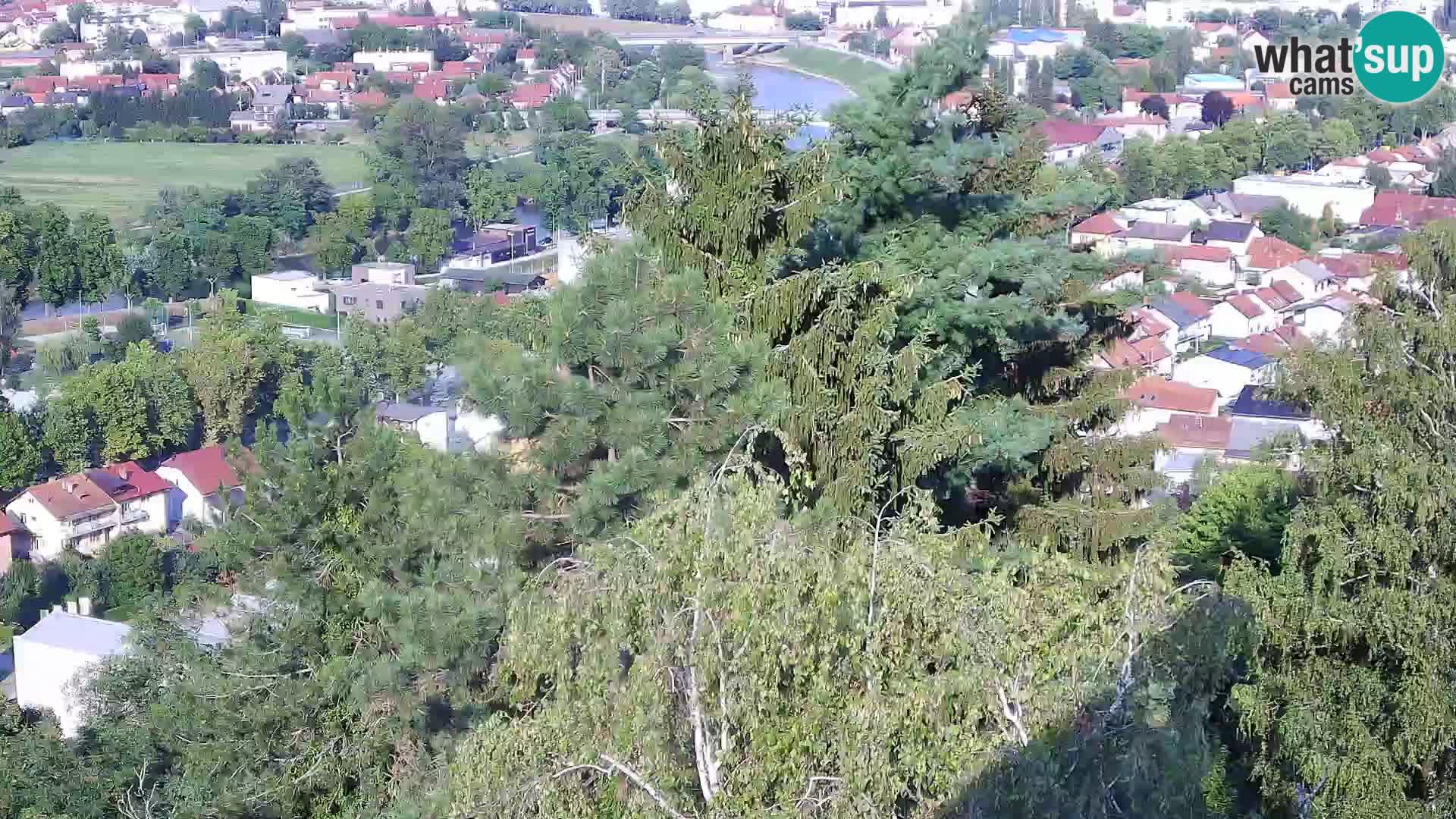 Web kamera Karlovac – Dvorac Dubovac uživo