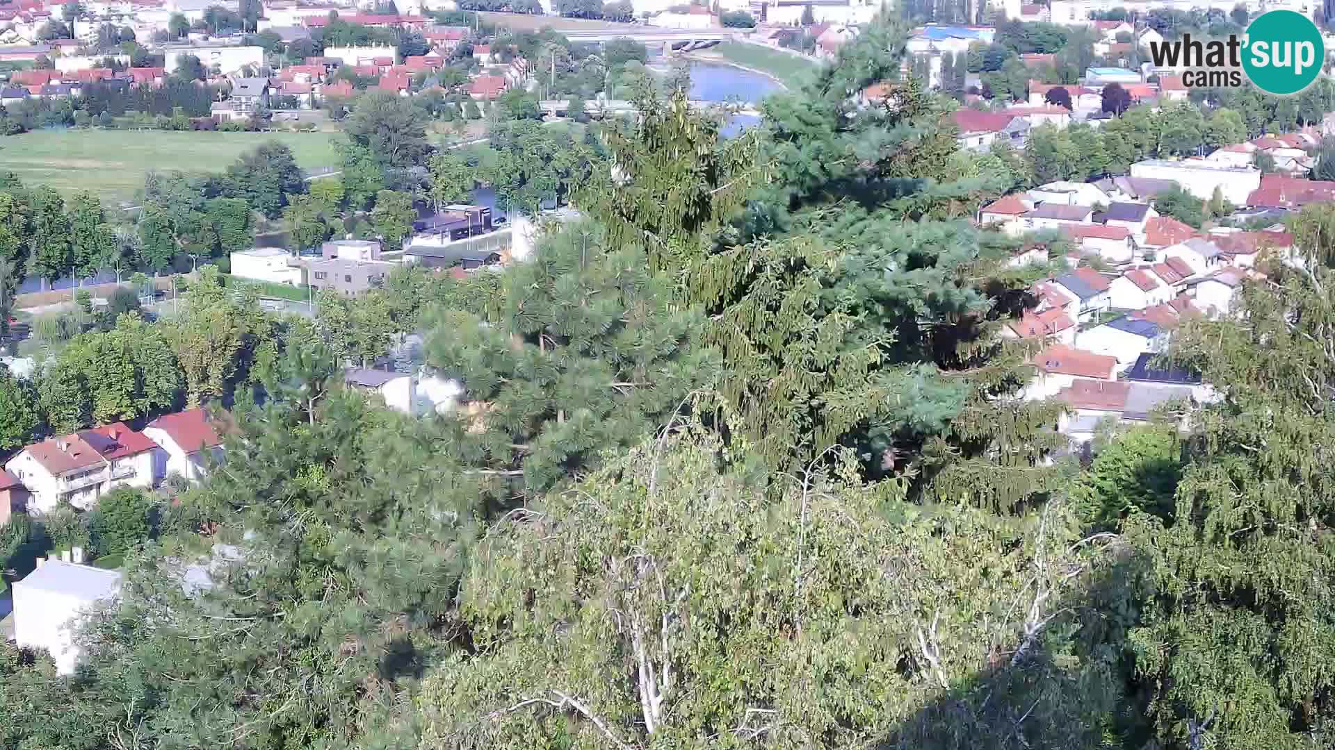 Spletna kamera Karlovac Dubovac grad – Pogled v živo na zgodovinsko znamenitost Karlovca