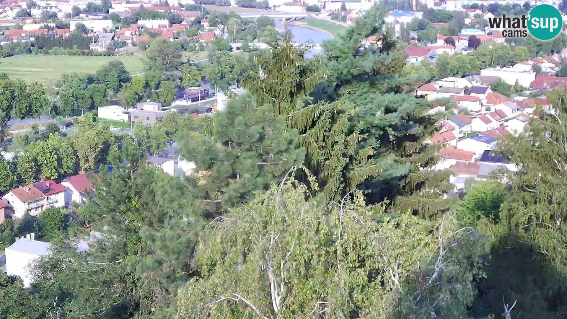 Spletna kamera Karlovac Dubovac grad – Pogled v živo na zgodovinsko znamenitost Karlovca
