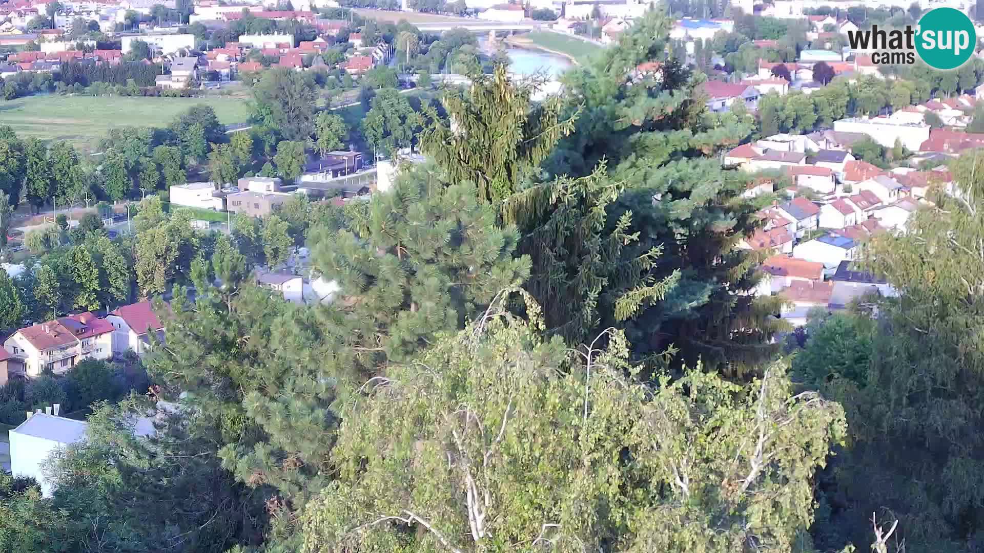 Webcam Karlstadt Burg Dubovac – Liveblick auf das historische Wahrzeichen