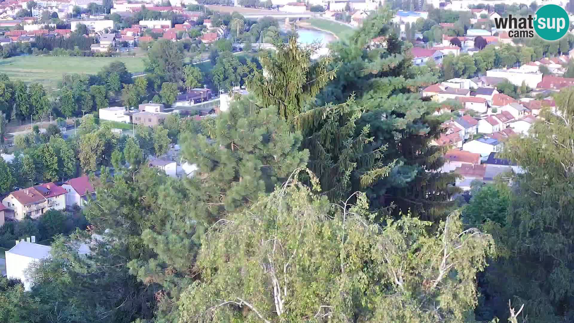 Webcam Castello Dubovac Karlovac – Vista Live sul Castello Storico