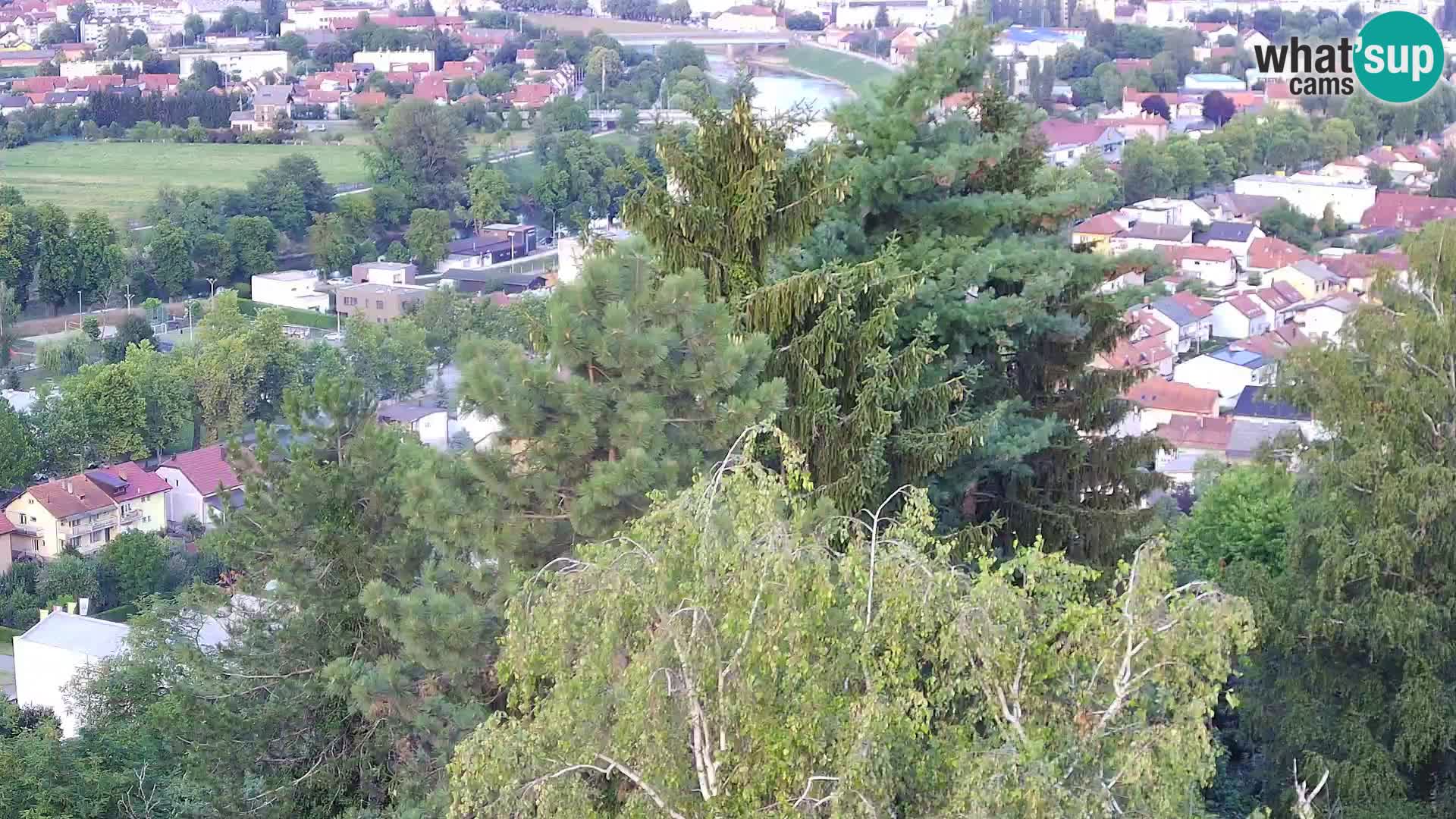 Webcam Karlstadt Burg Dubovac – Liveblick auf das historische Wahrzeichen