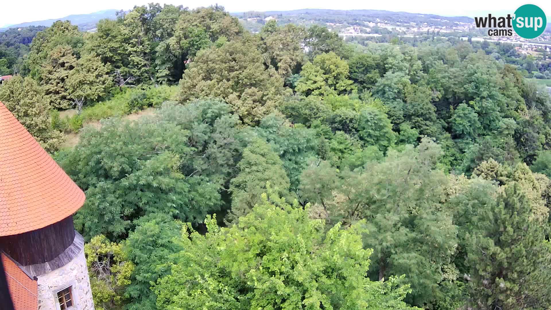 Spletna kamera Karlovac Dubovac grad – Pogled v živo na zgodovinsko znamenitost Karlovca
