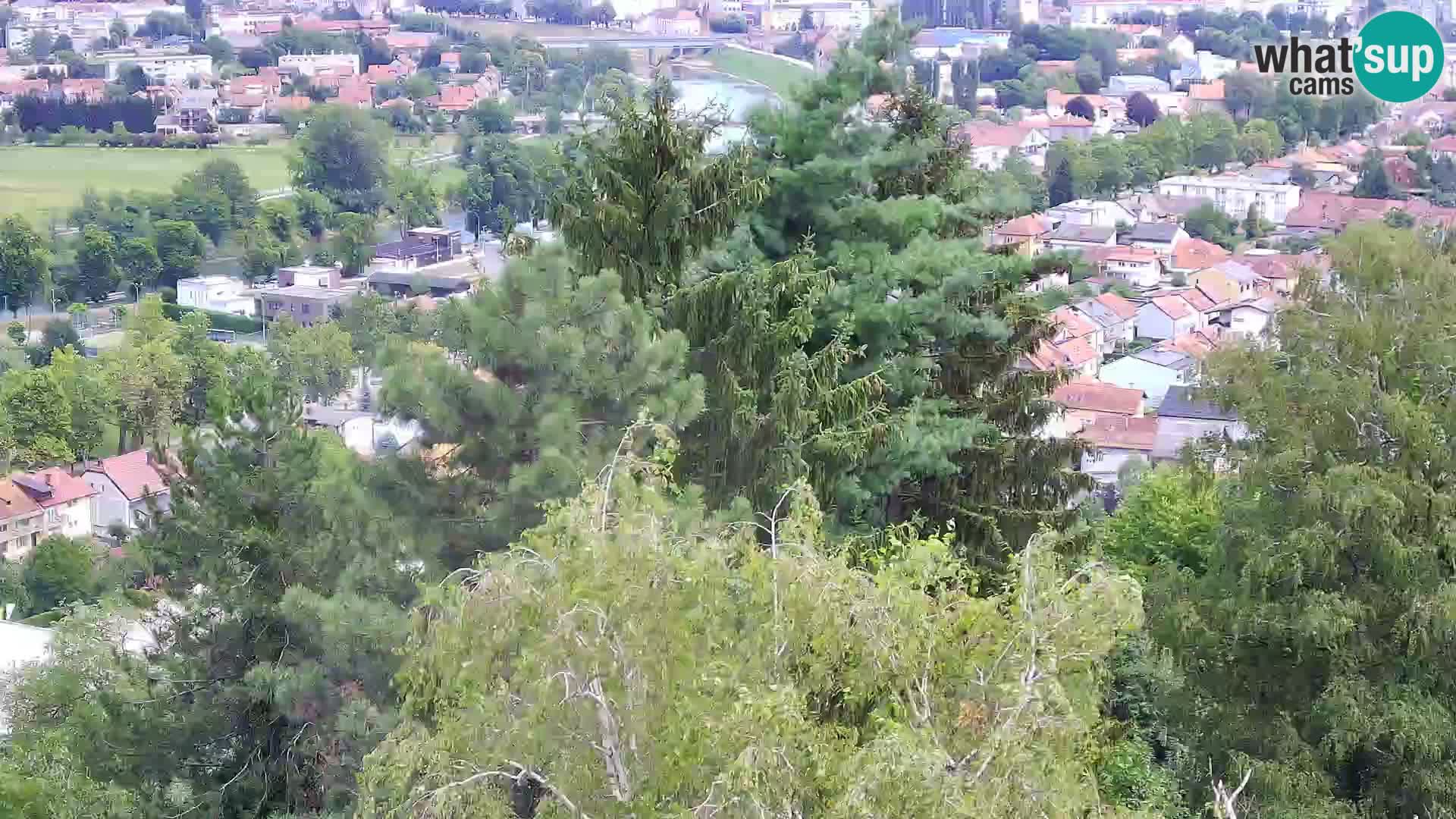 Spletna kamera Karlovac Dubovac grad – Pogled v živo na zgodovinsko znamenitost Karlovca