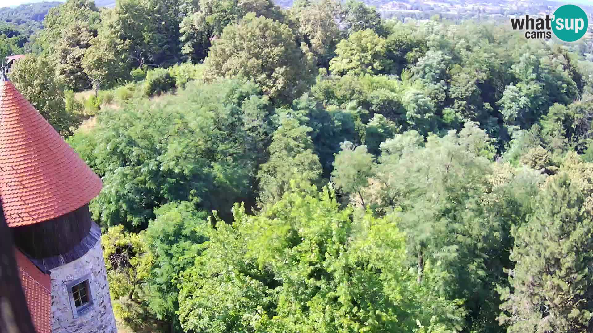 Webcam Karlovac Dubovac Castle – Live View of Karlovac’s Historic Landmark