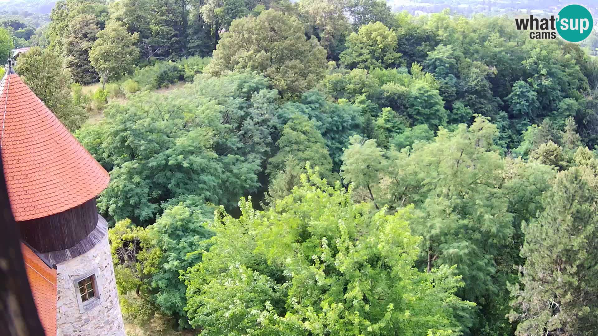 Webcam Karlstadt Burg Dubovac – Liveblick auf das historische Wahrzeichen