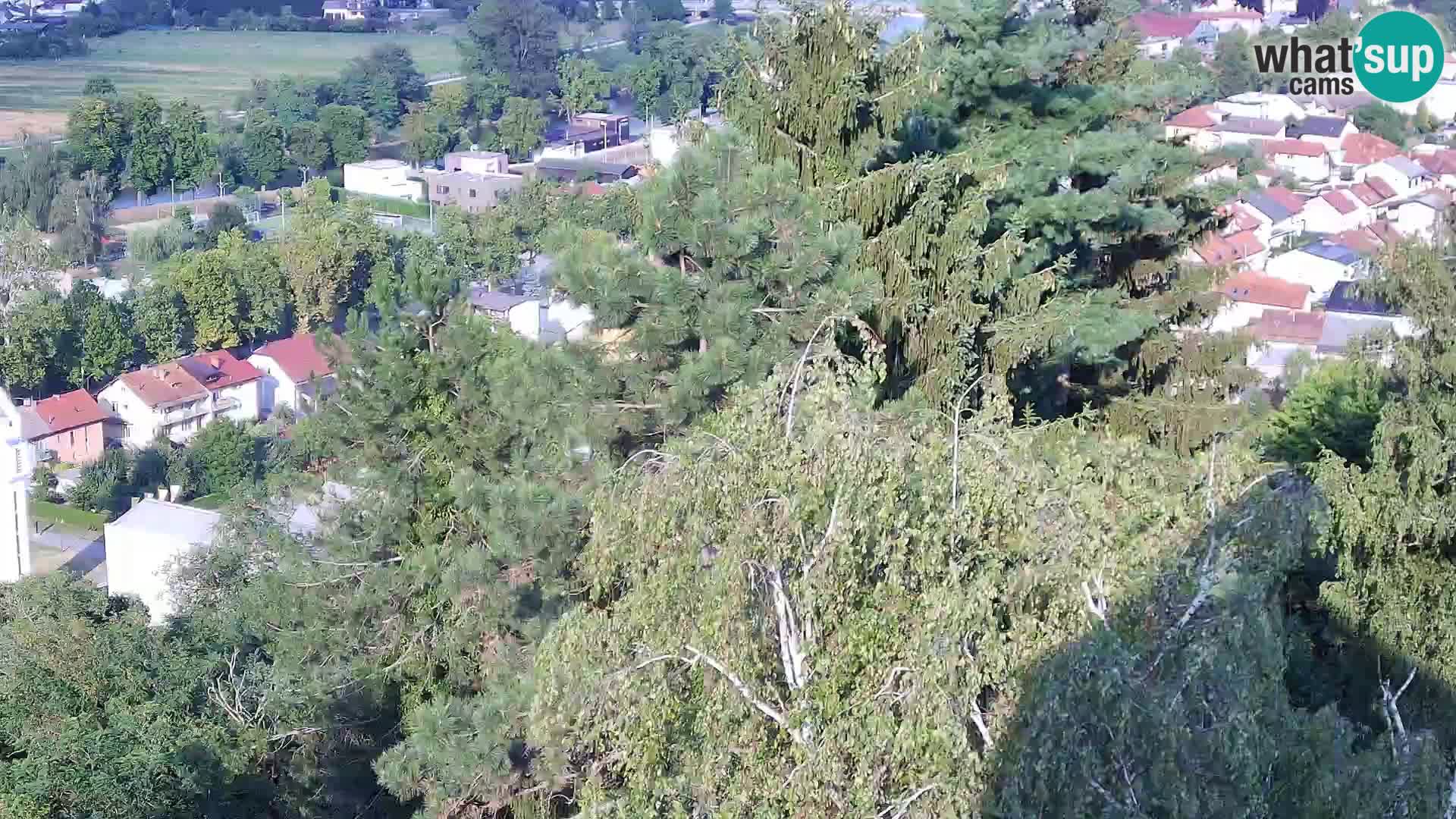 Webcam Castello Dubovac Karlovac – Vista Live sul Castello Storico