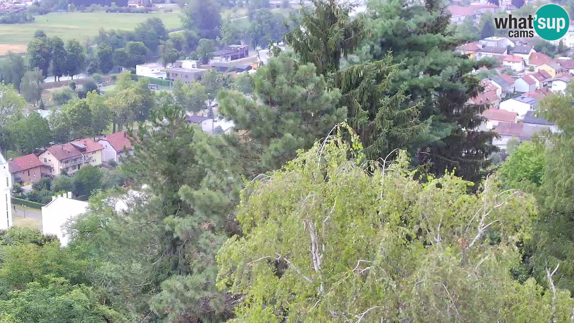 Webcam Castello Dubovac Karlovac – Vista Live sul Castello Storico