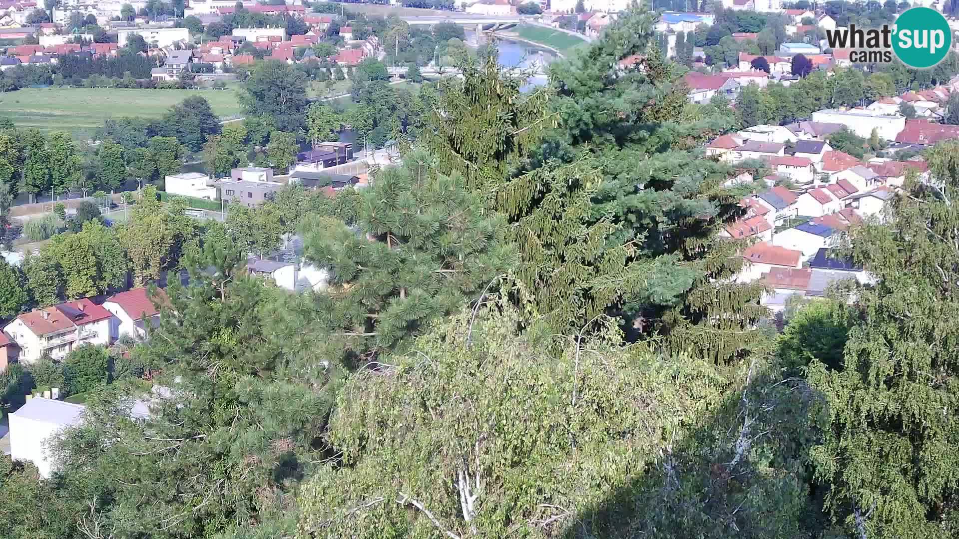 Webcam Castello Dubovac Karlovac – Vista Live sul Castello Storico