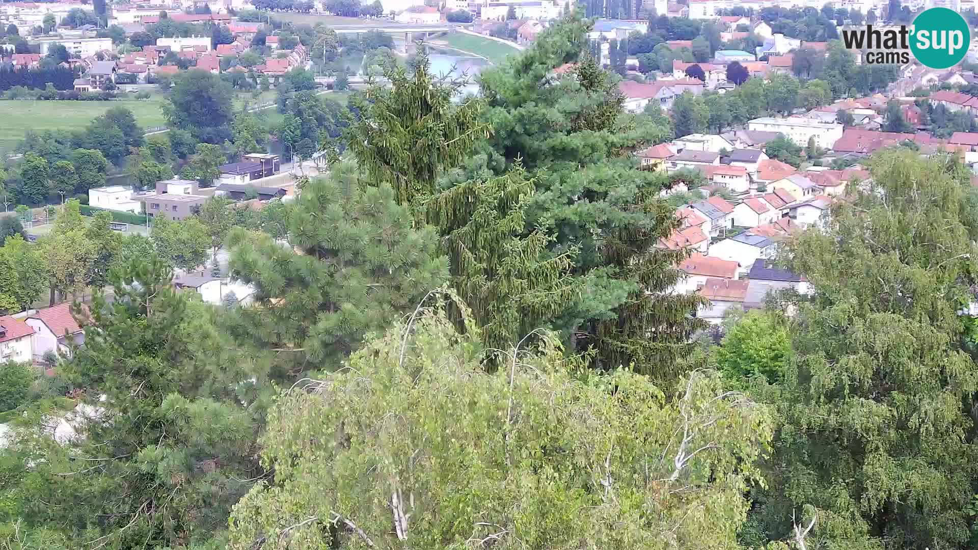 Webcam Castello Dubovac Karlovac – Vista Live sul Castello Storico