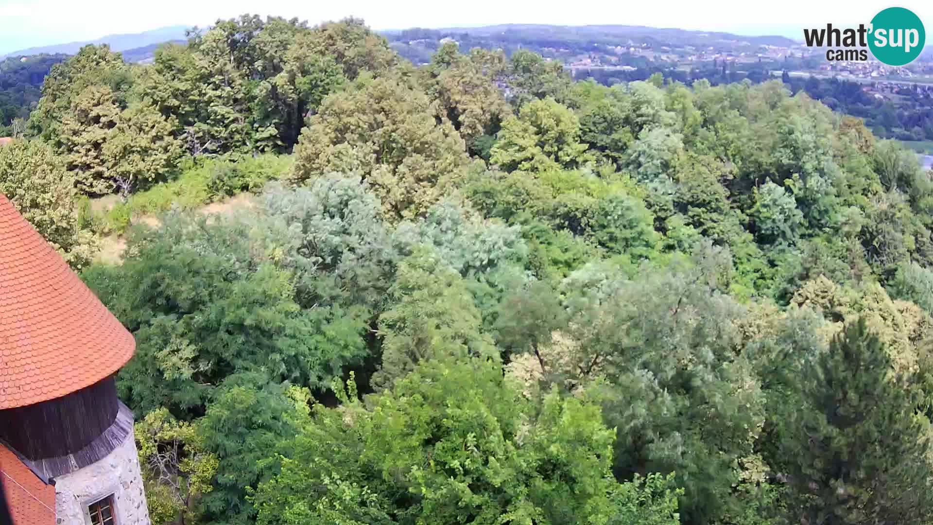 Webcam Karlovac Château Dubovac – Vue en direct de ce monument historique