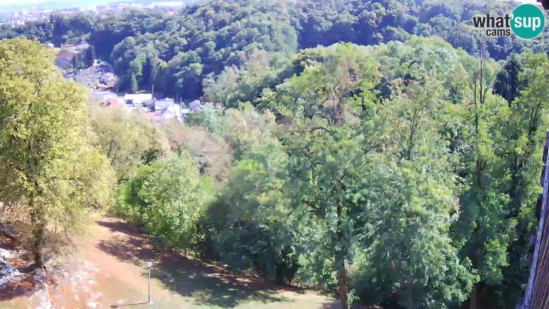 Spletna kamera Karlovac Dubovac grad – Pogled v živo na zgodovinsko znamenitost Karlovca