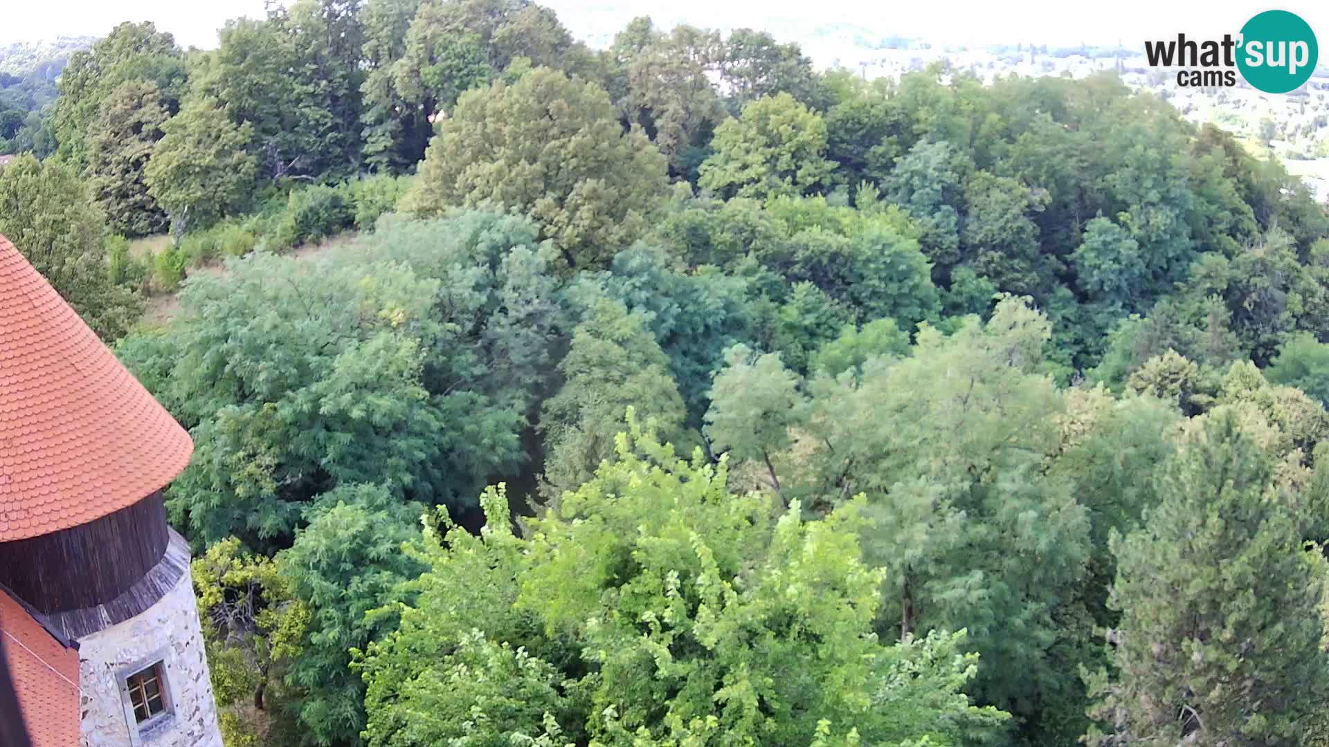 Webcam Karlstadt Burg Dubovac – Liveblick auf das historische Wahrzeichen