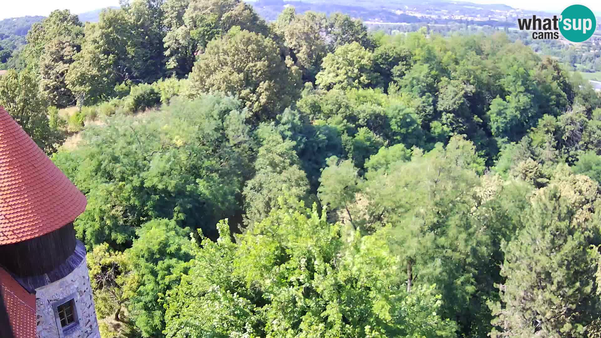 Webcam Karlstadt Burg Dubovac – Liveblick auf das historische Wahrzeichen