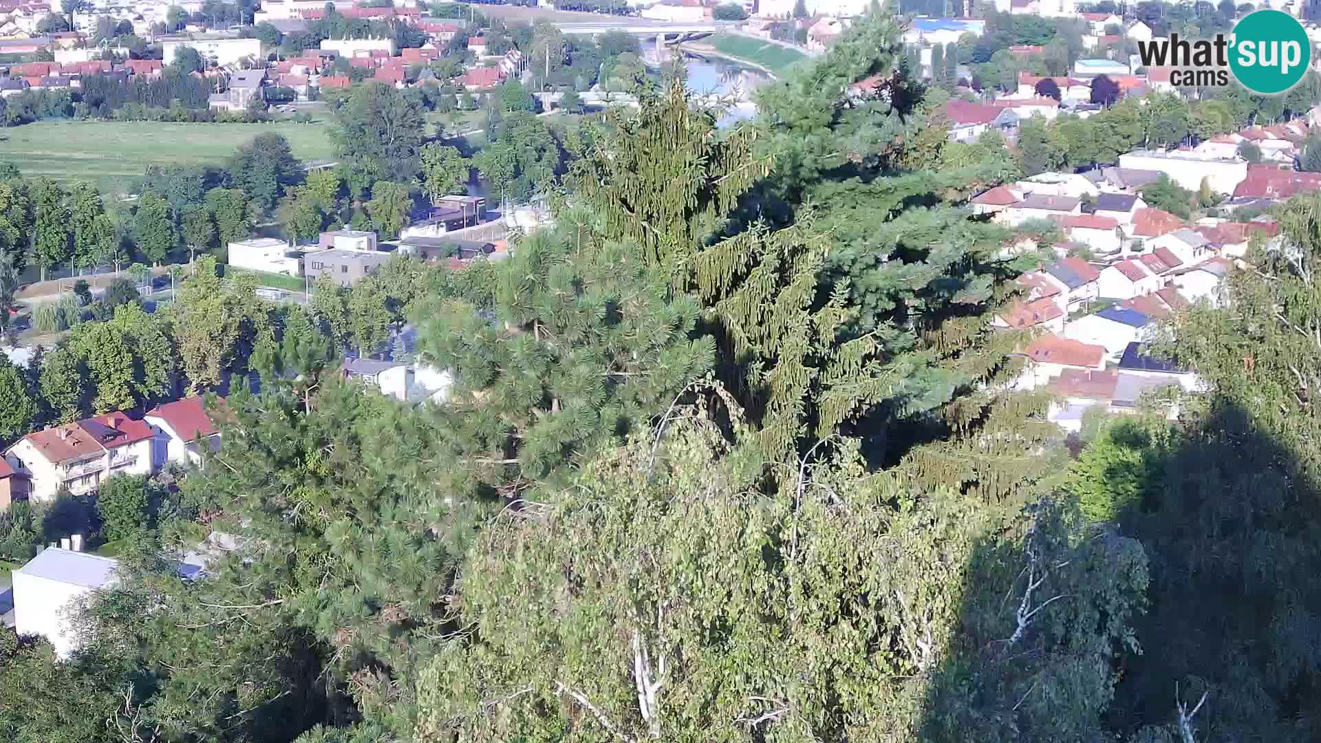 Webcam Karlovac Dubovac Castle – Live View of Karlovac’s Historic Landmark