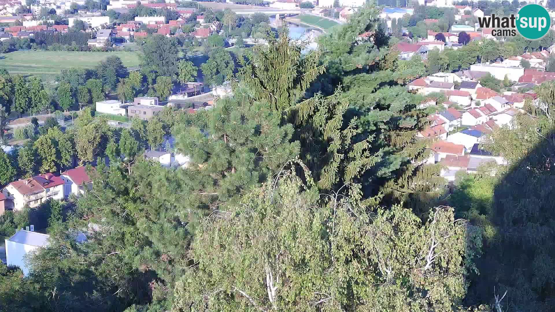 Spletna kamera Karlovac Dubovac grad – Pogled v živo na zgodovinsko znamenitost Karlovca