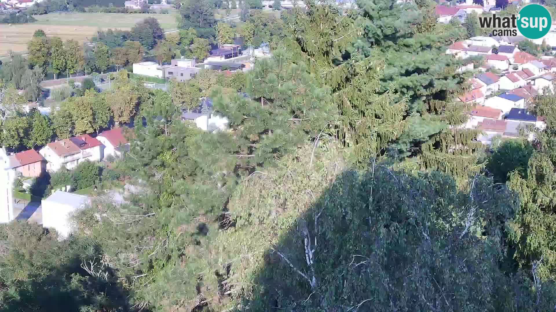 Webcam Karlovac Château Dubovac – Vue en direct de ce monument historique