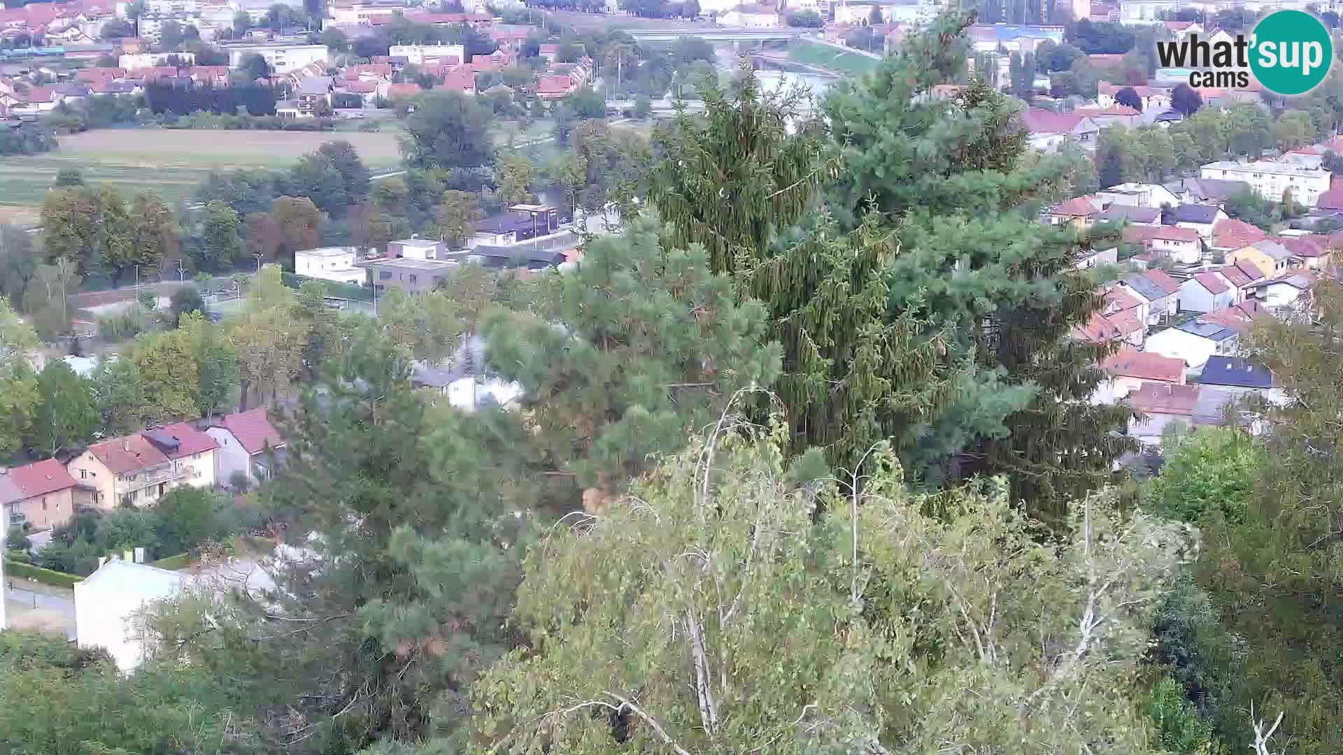 Webcam Castillo Dubovac Karlovac – Vista en directo del histórico castillo