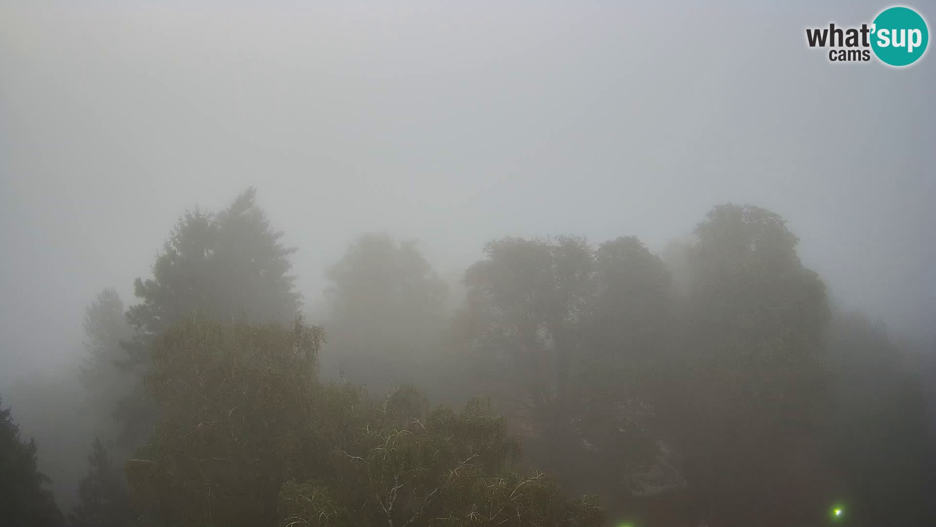 Webcam Karlstadt Burg Dubovac – Liveblick auf das historische Wahrzeichen
