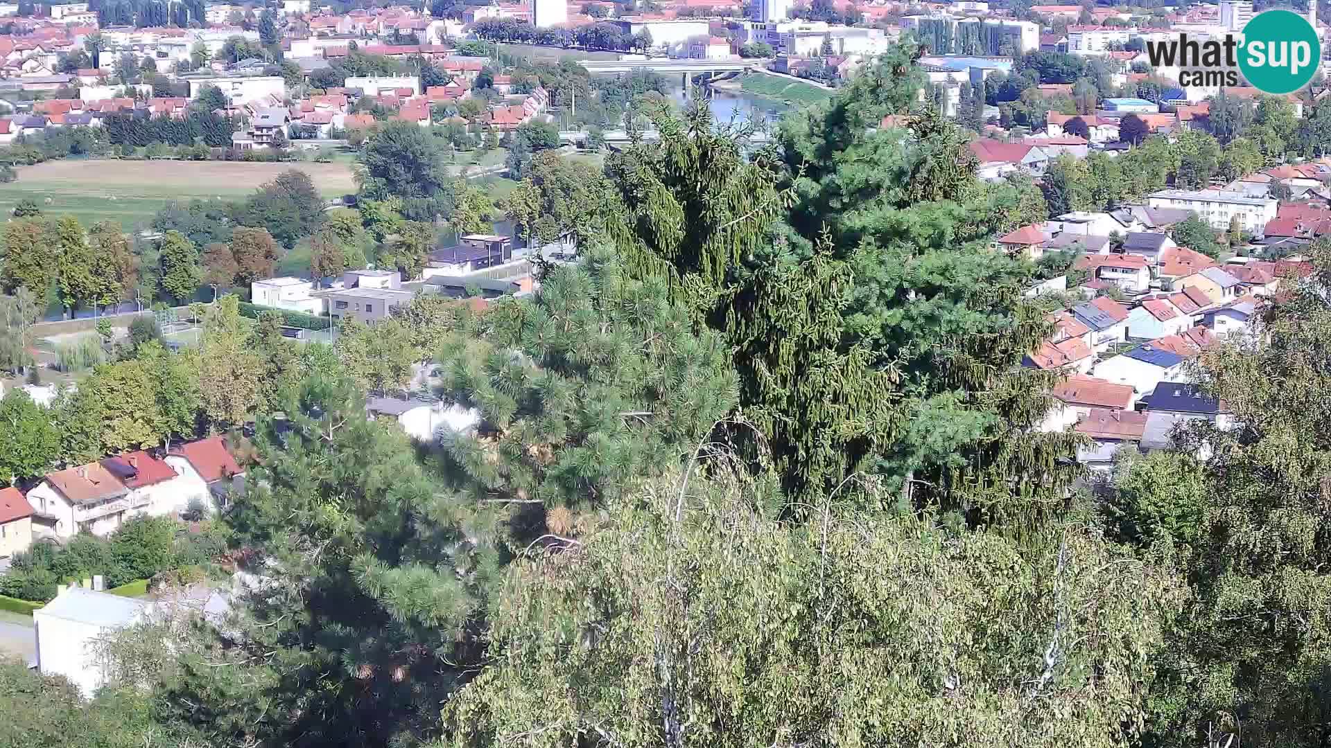 Webcam Castello Dubovac Karlovac – Vista Live sul Castello Storico