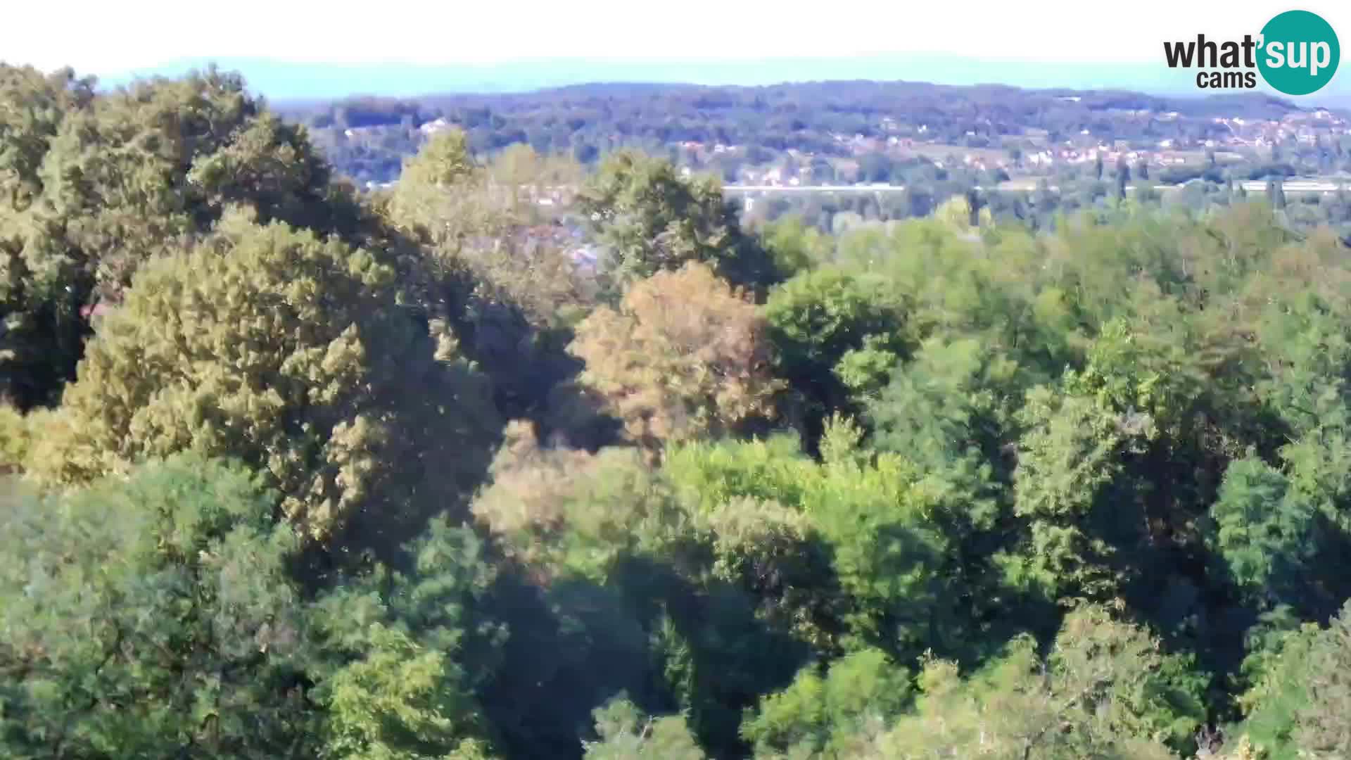 Webcam Castillo Dubovac Karlovac – Vista en directo del histórico castillo