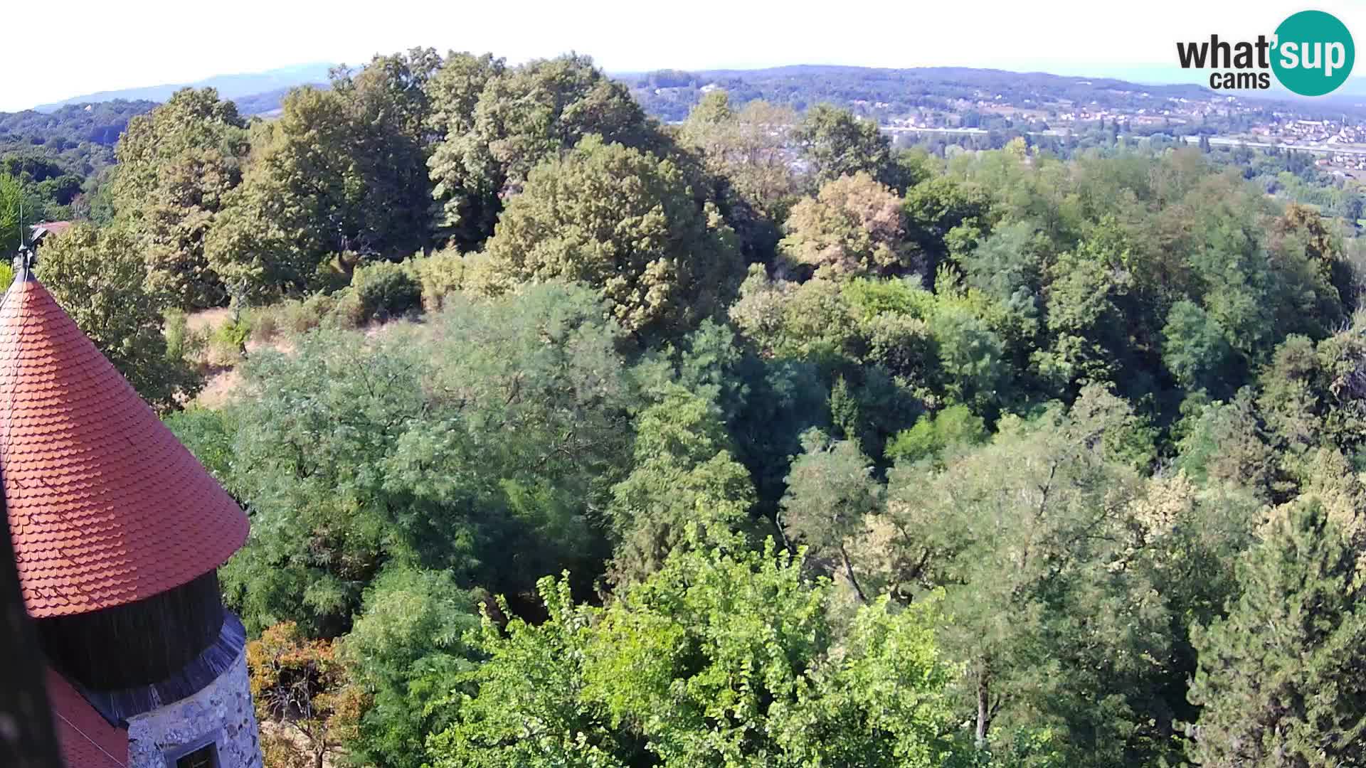 Webcam Karlovac Dubovac Castle – Live View of Karlovac’s Historic Landmark