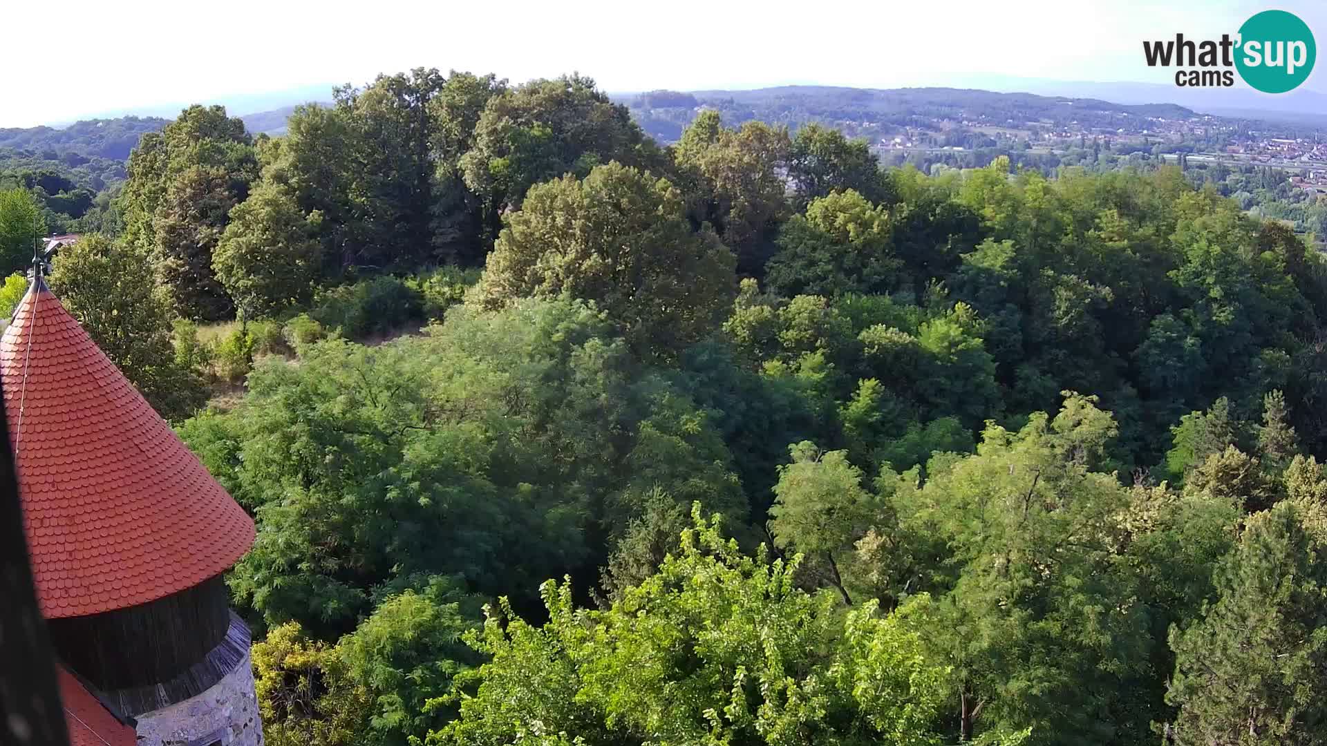Webcam Castillo Dubovac Karlovac – Vista en directo del histórico castillo