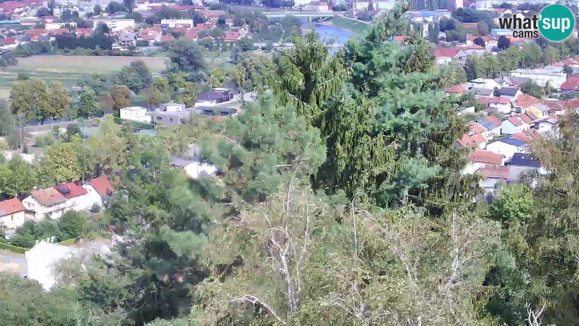 Webcam Karlstadt Burg Dubovac – Liveblick auf das historische Wahrzeichen