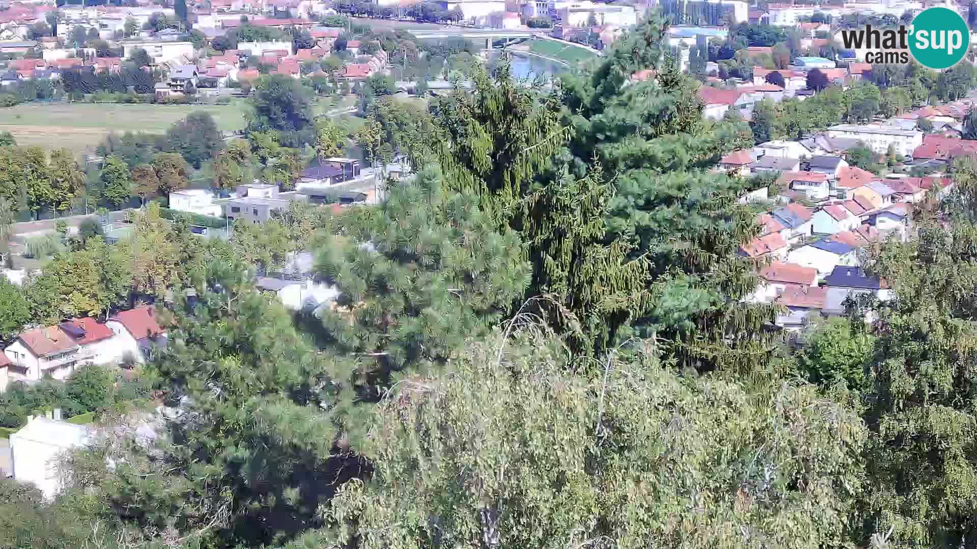 Webcam Karlovac Château Dubovac – Vue en direct de ce monument historique