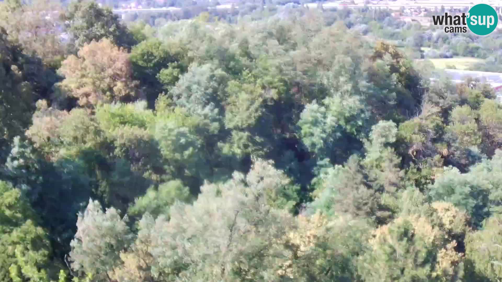 Webcam Karlovac Château Dubovac – Vue en direct de ce monument historique