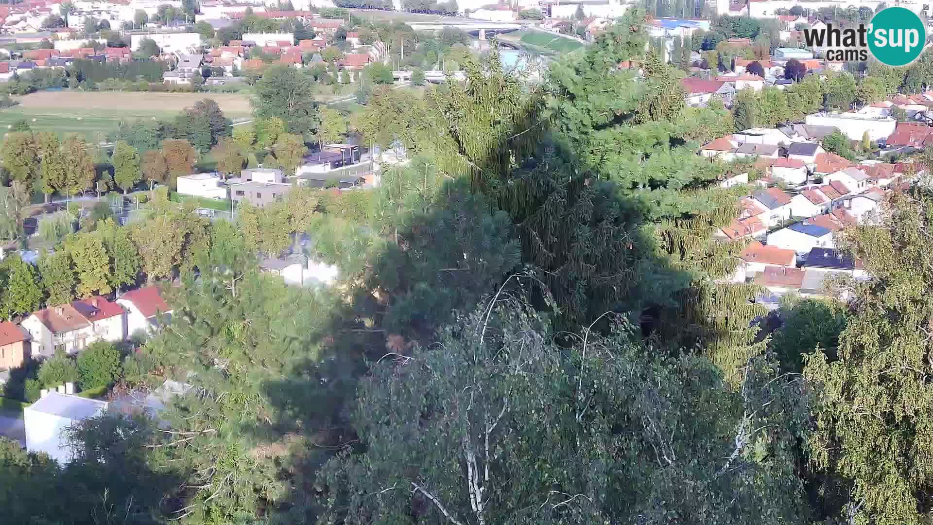 Web kamera Karlovac – Dvorac Dubovac uživo