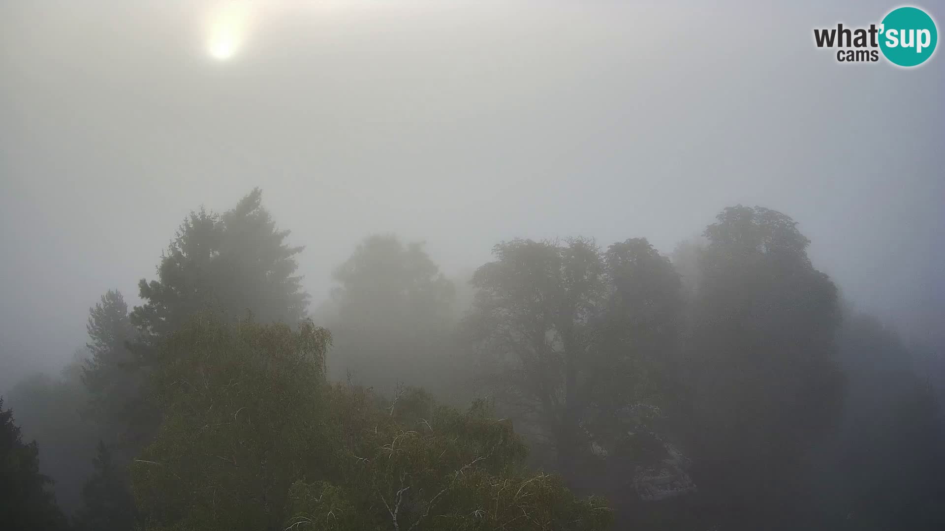 Webcam Karlovac Dubovac Castle – Live View of Karlovac’s Historic Landmark