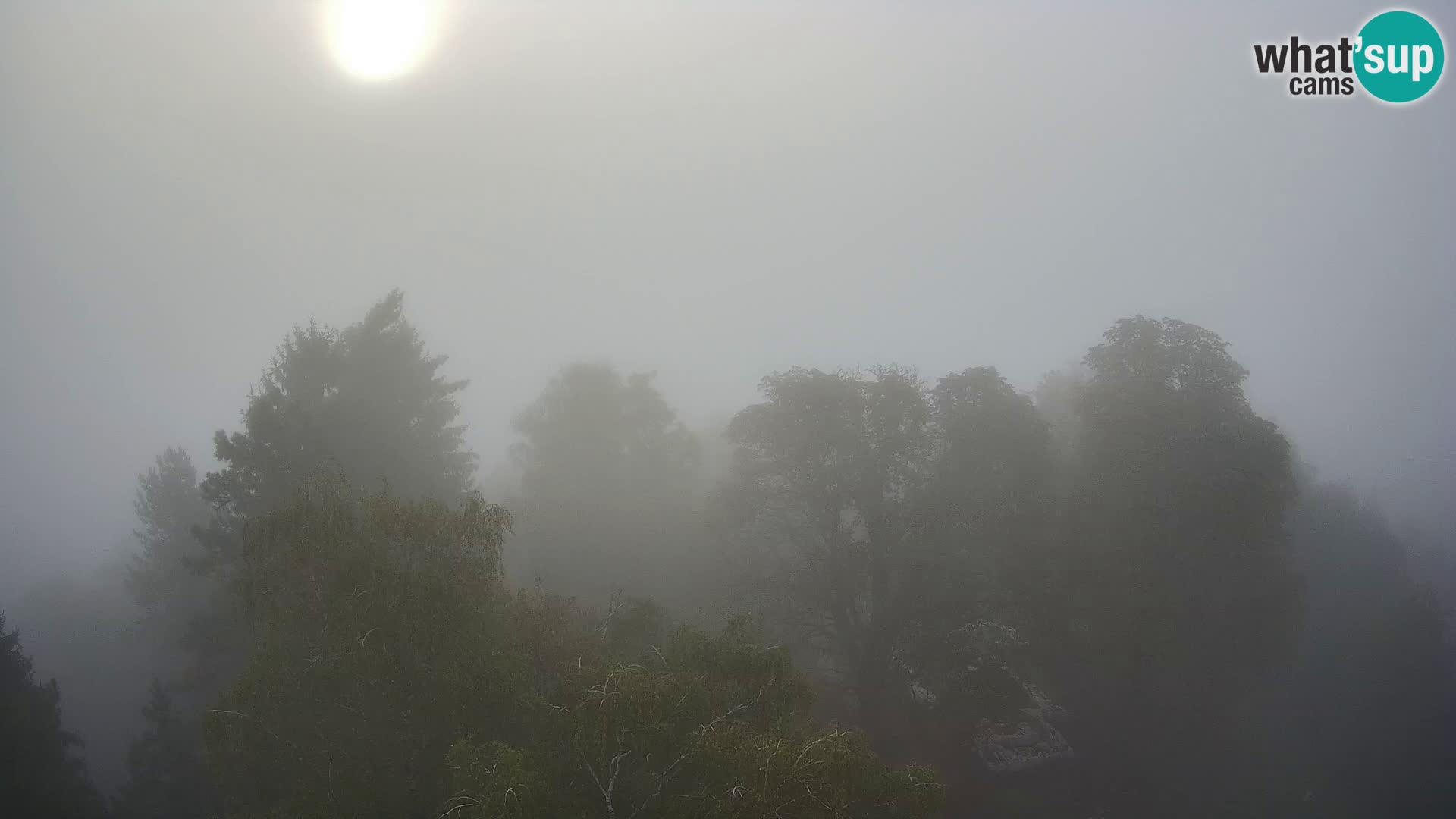 Webcam Karlstadt Burg Dubovac – Liveblick auf das historische Wahrzeichen