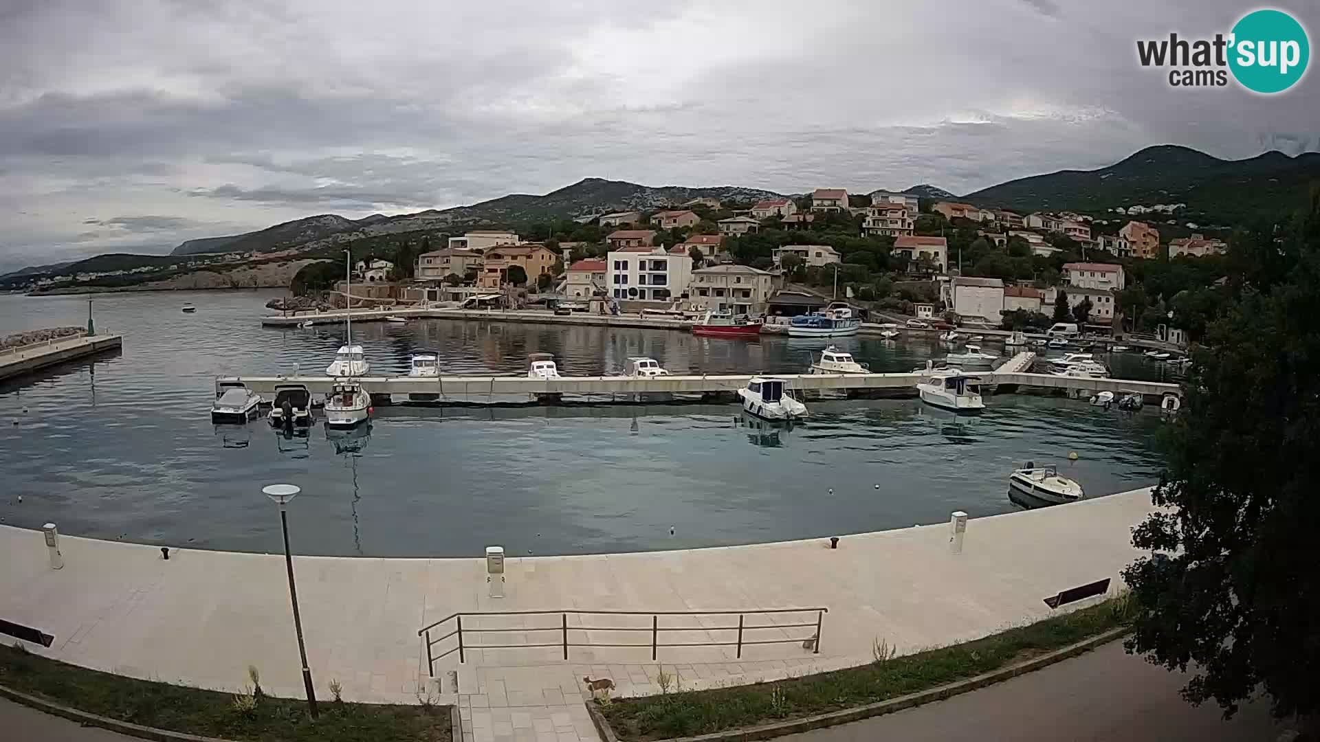 Webcam - Klenovica