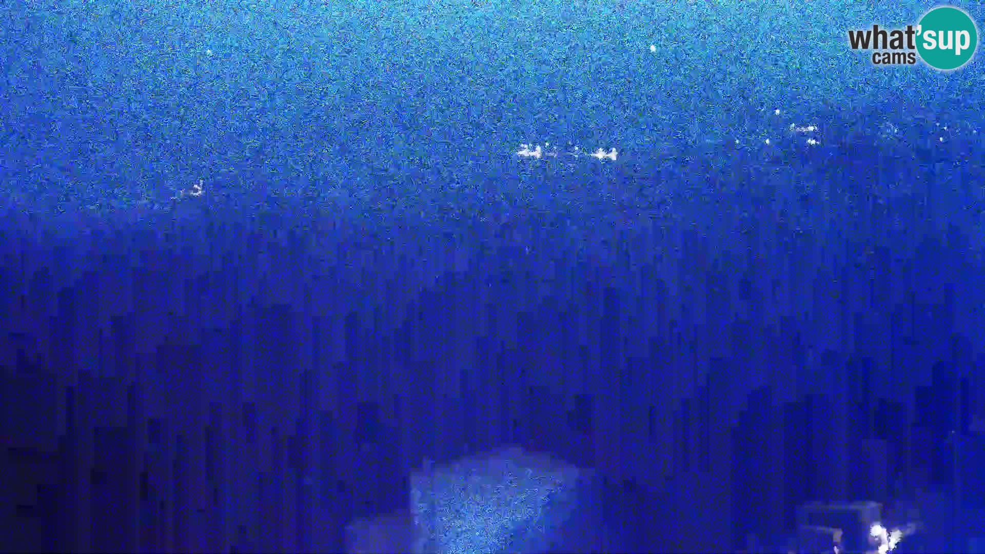 Vue de l’usine de fromage Gligora Kolan – île de Pag