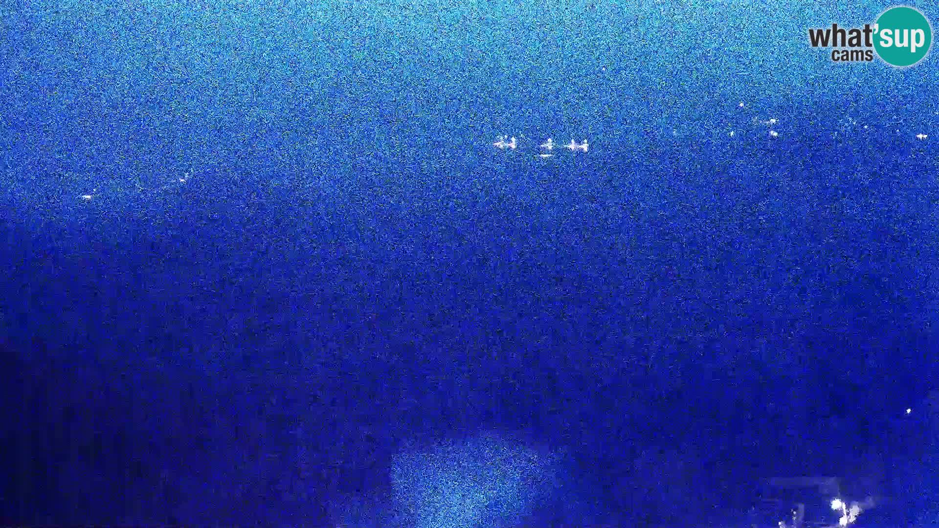 Vue de l’usine de fromage Gligora Kolan – île de Pag