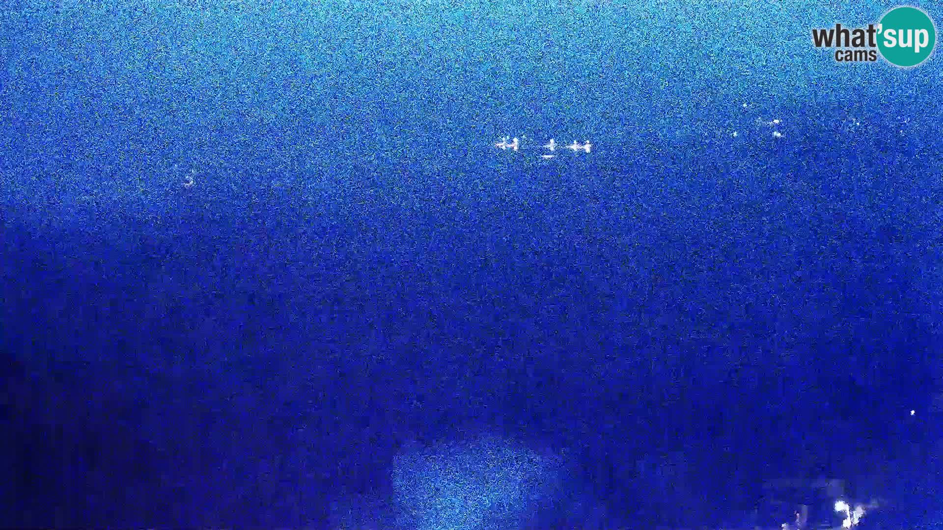 Vue de l’usine de fromage Gligora Kolan – île de Pag