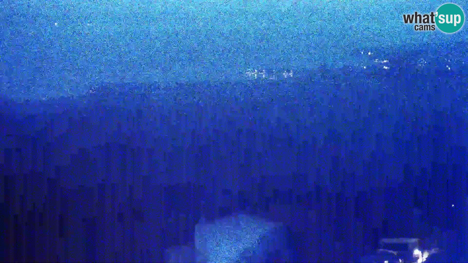 Vista dalla fabbrica di formaggio Gligora Kolan – isola di Pag
