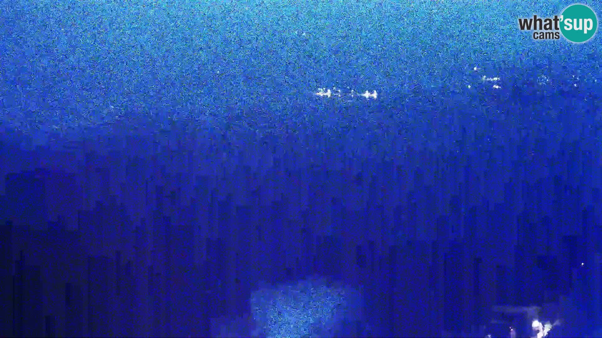 Vista dalla fabbrica di formaggio Gligora Kolan – isola di Pag