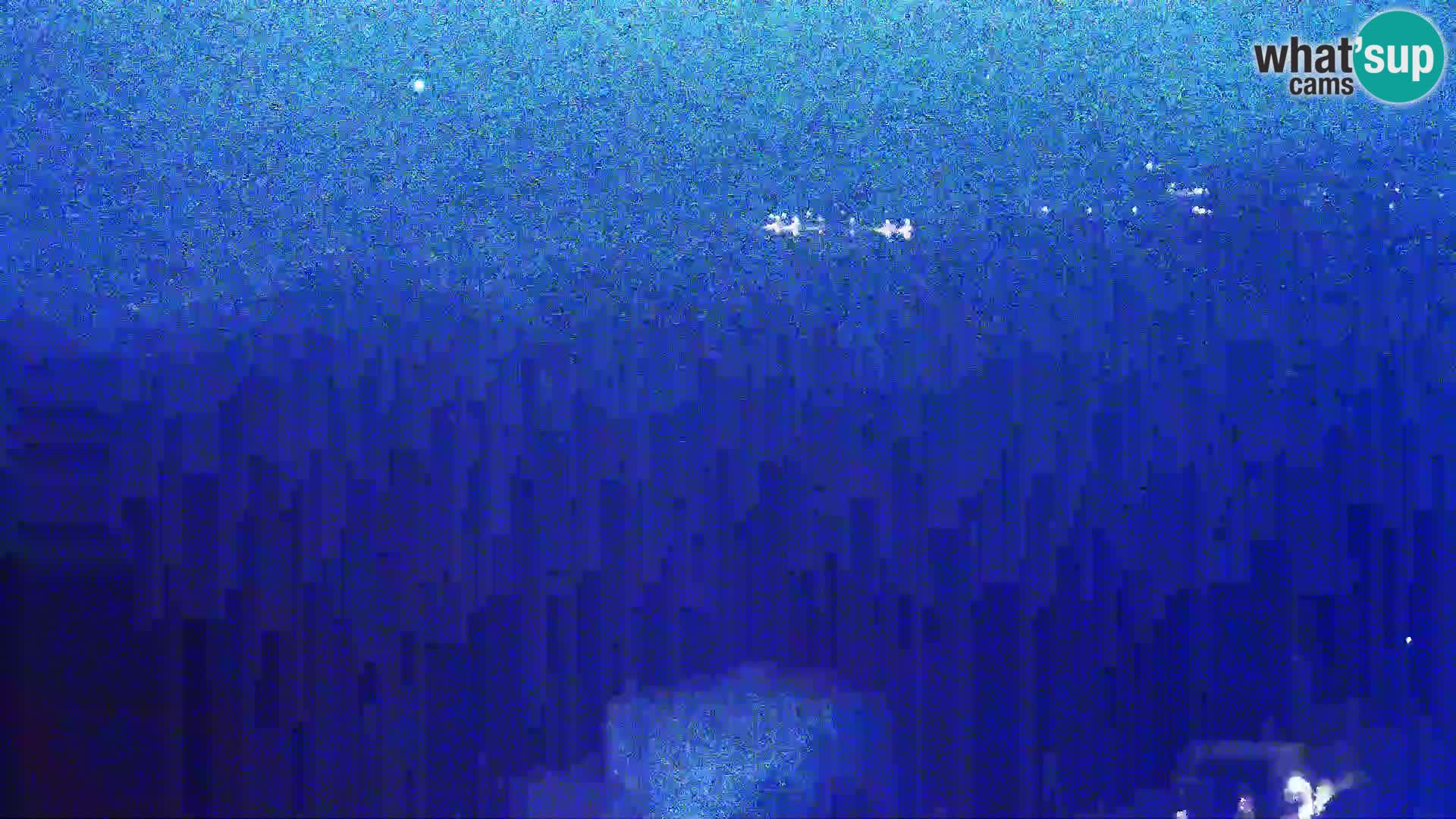 Vue de l’usine de fromage Gligora Kolan – île de Pag