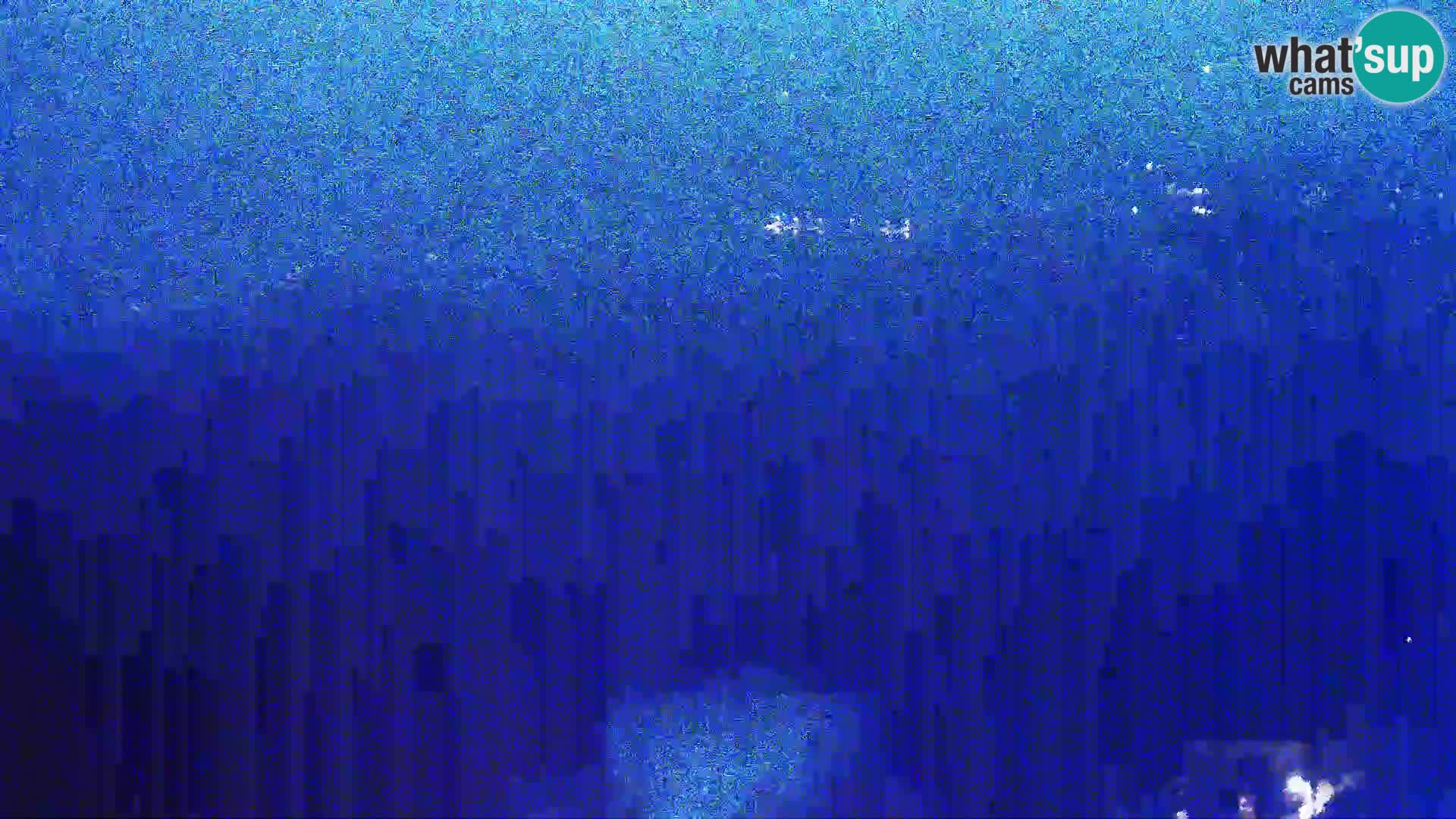Vista dalla fabbrica di formaggio Gligora Kolan – isola di Pag