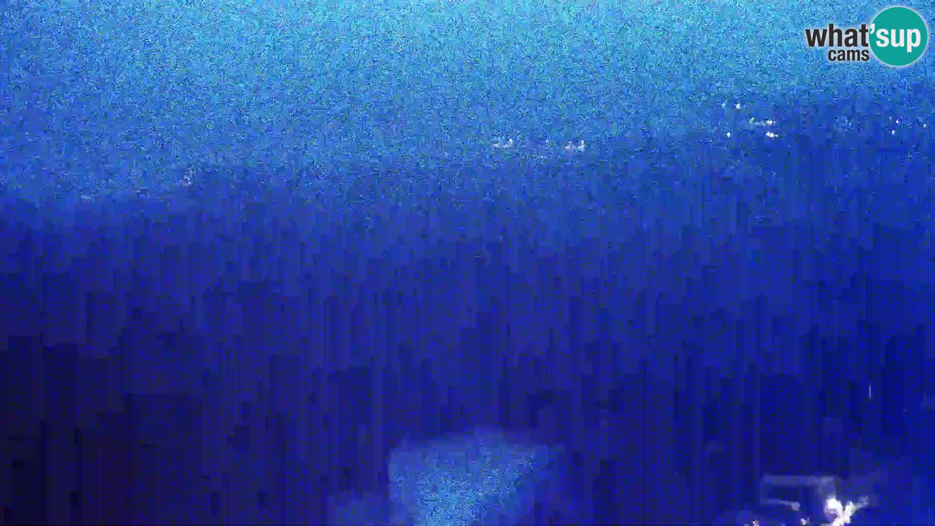 Vista dalla fabbrica di formaggio Gligora Kolan – isola di Pag