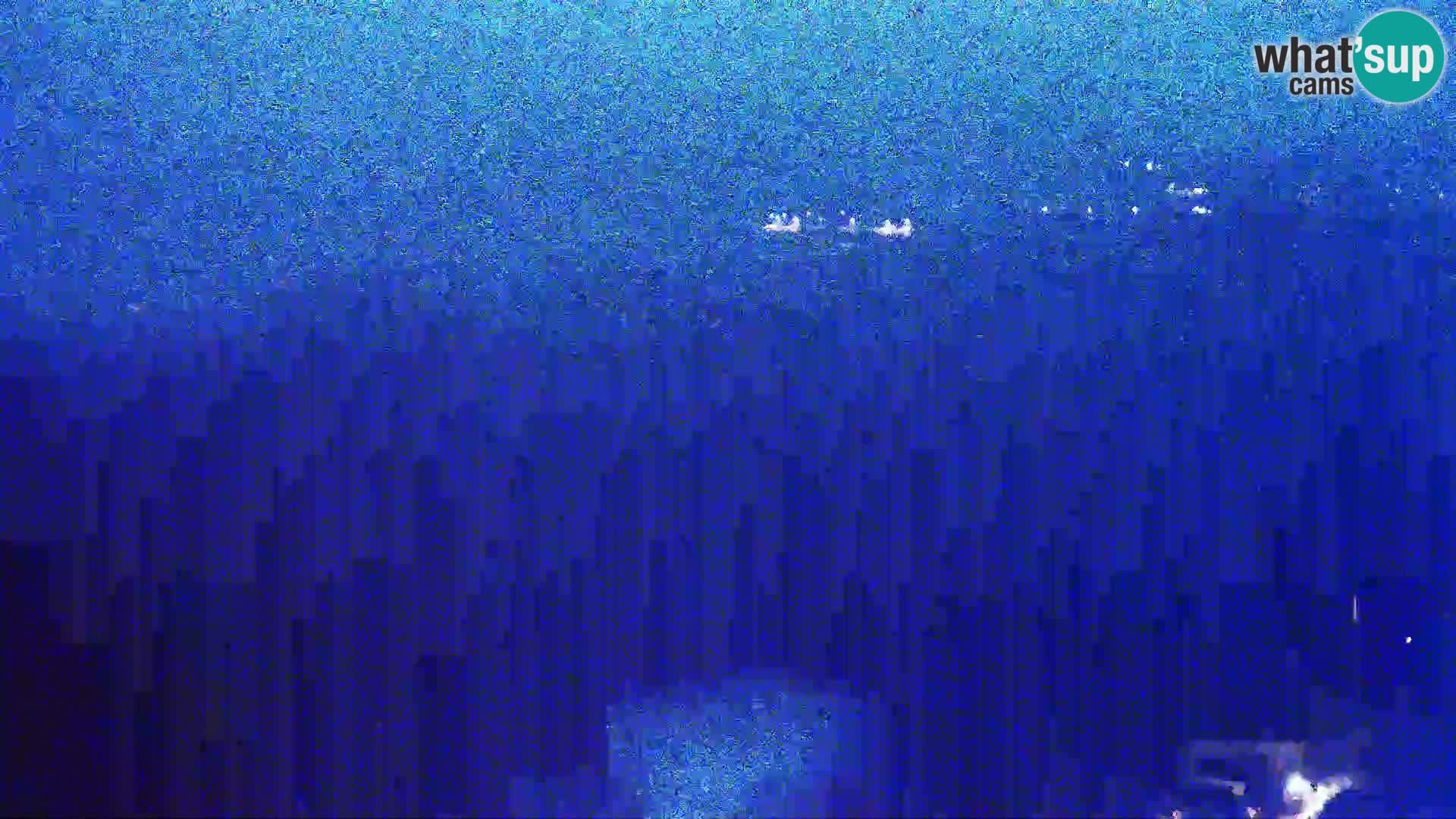 Vista dalla fabbrica di formaggio Gligora Kolan – isola di Pag